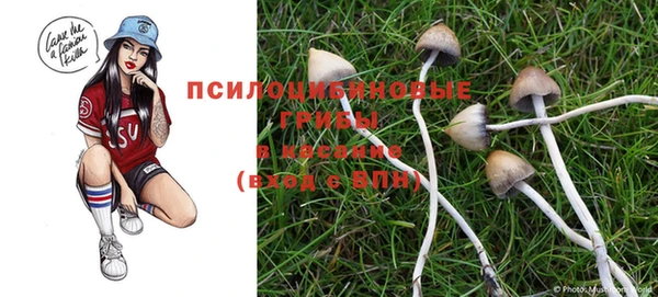 скорость Карпинск