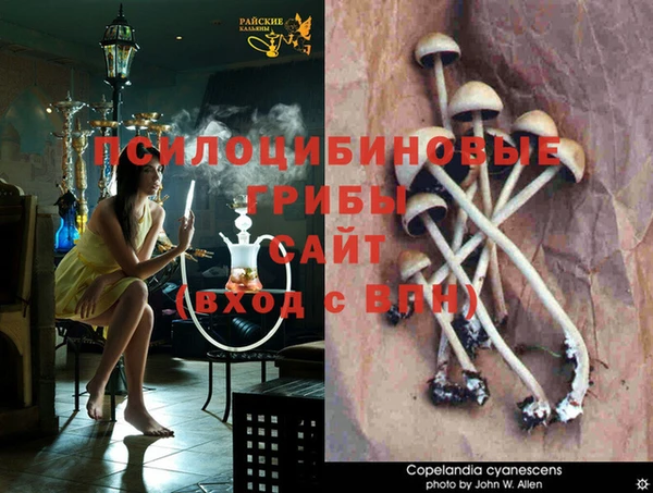 каннабис Касимов