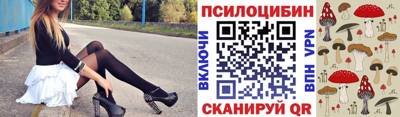Купить  Ветлуга  Псилоцибиновые грибы прущие грибы 